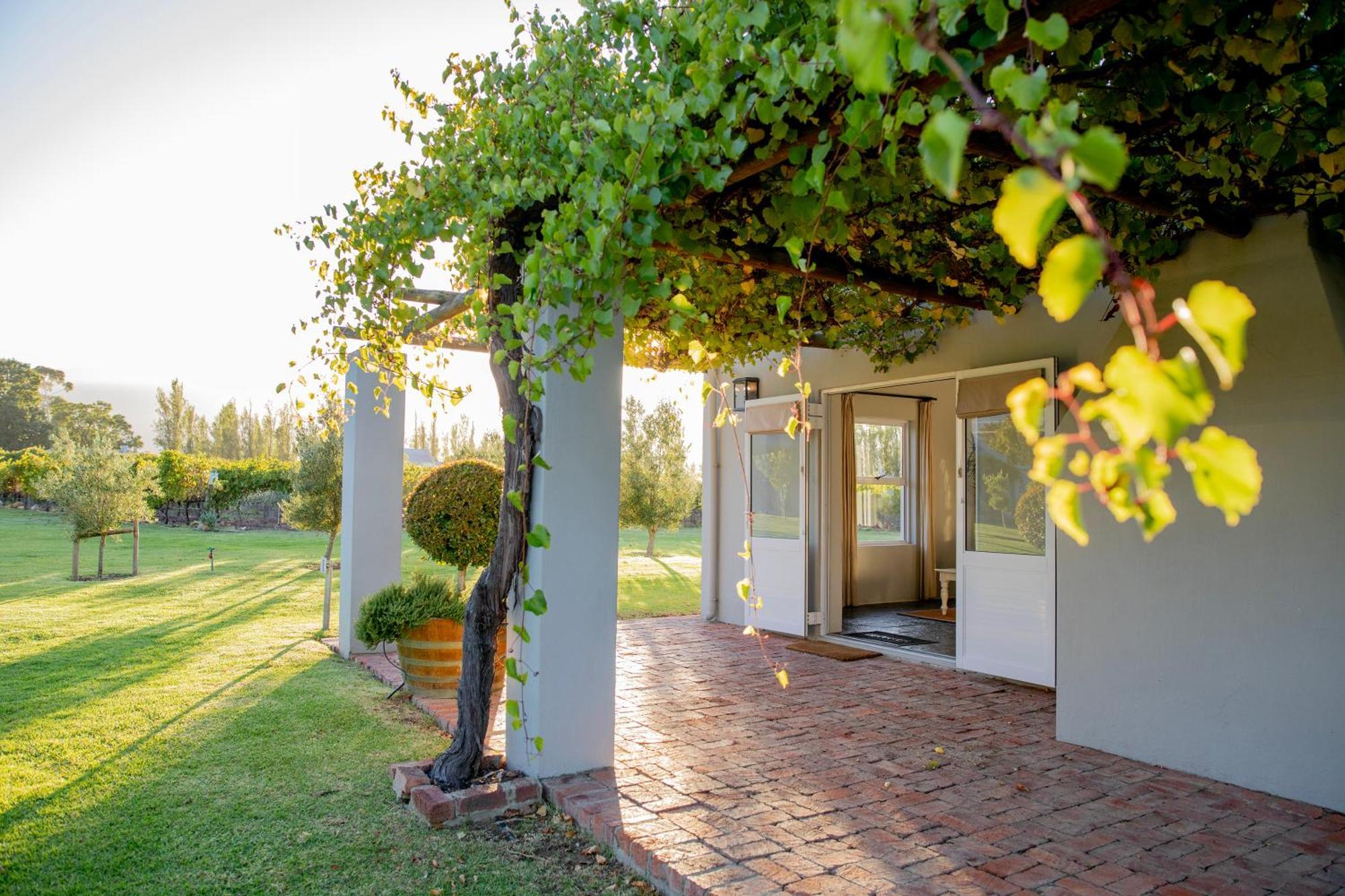 Saronsberg Vineyard Cottages Tulbagh Eksteriør billede
