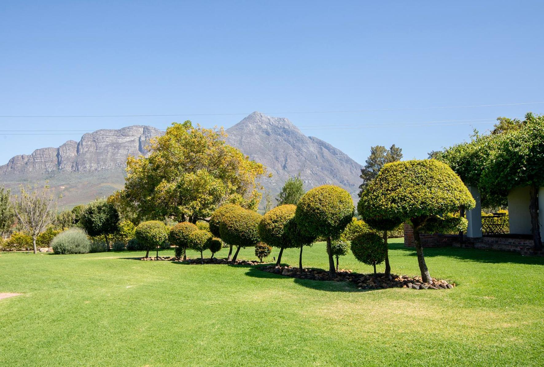 Saronsberg Vineyard Cottages Tulbagh Eksteriør billede