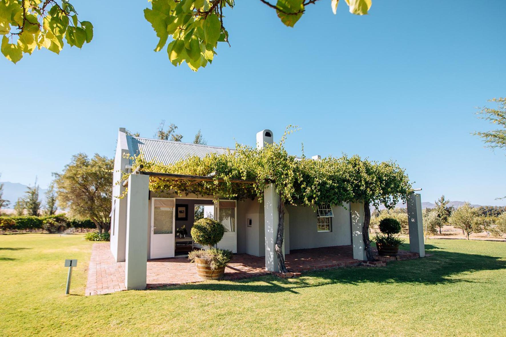 Saronsberg Vineyard Cottages Tulbagh Eksteriør billede