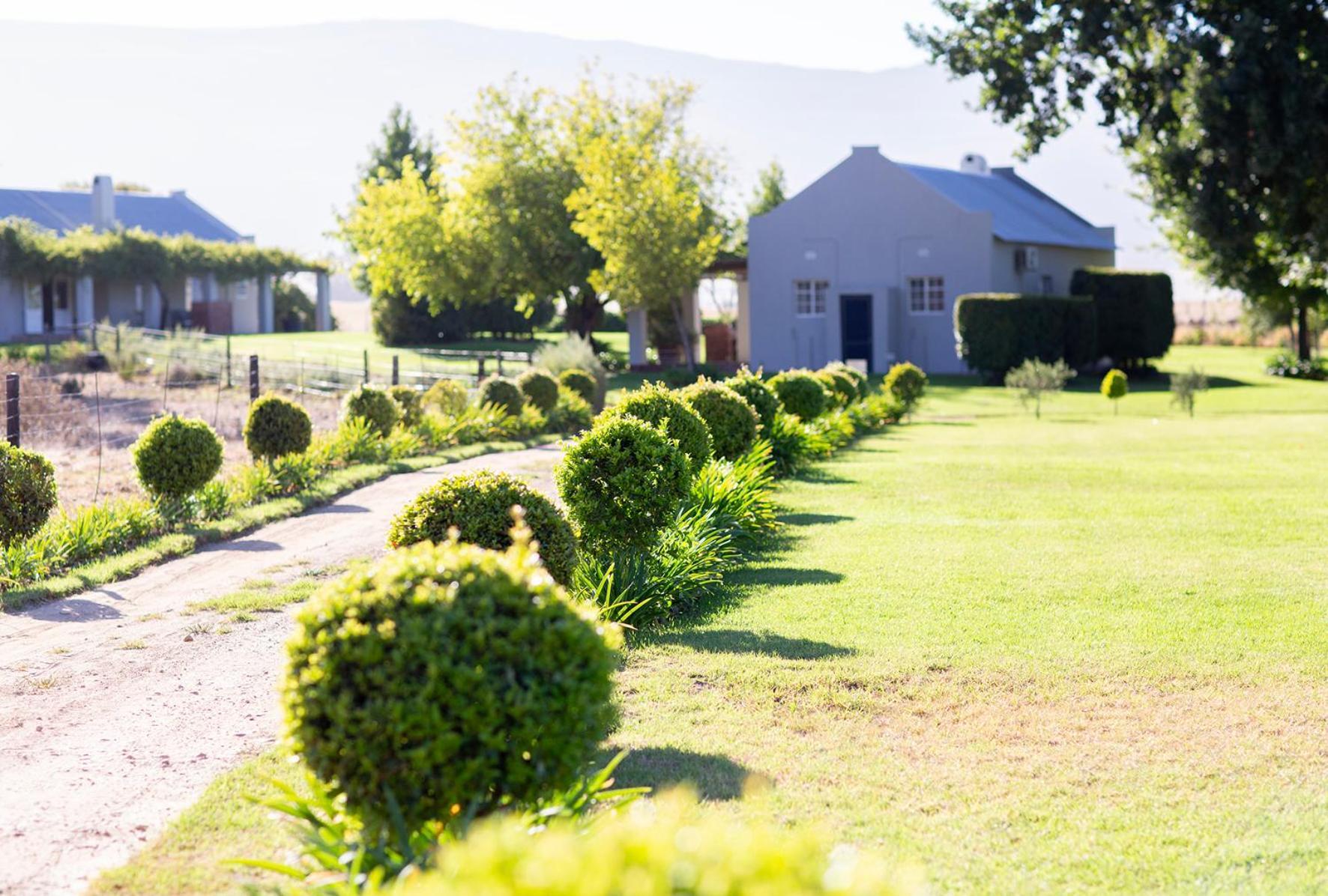 Saronsberg Vineyard Cottages Tulbagh Eksteriør billede