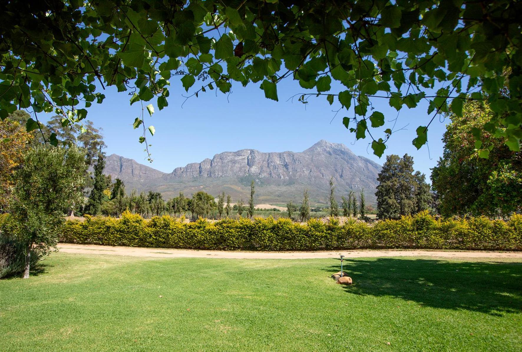 Saronsberg Vineyard Cottages Tulbagh Eksteriør billede