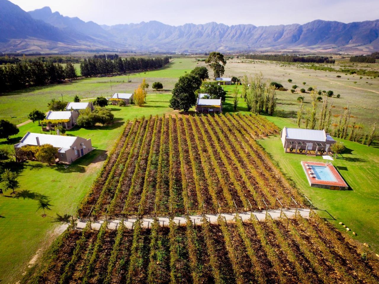 Saronsberg Vineyard Cottages Tulbagh Eksteriør billede